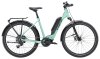 Trek Allant+ 5 Lowstep L Blue Sage 400