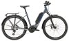 Trek Allant+ 6 Lowstep L Galactic Grey 800WH