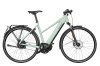 Riese & Müller Roadster Mixte Vario HS Salvia Matt